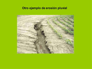 Otro ejemplo de erosión pluvial 