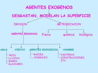 AGENTES EXOGENOS DESGASTAN, MODELAN LA SUPERFICIE EROSION METEORIZACION AGENTES EROSIVOS AGUA  VIENTO  AGENTES BIOlOGICOS  HOMBRE RIOS LLUVIAS MARES GLACIARES RAÍCES ANIMALES CANTERAS CONSTRUCCIONES ETC. Fisica  química  biológica 