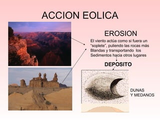 ACCION EOLICA EROSION El viento actúa como si fuera un “ soplete”, puliendo las rocas más Blandas y transportando  los  Sedimentos hacia otros lugares DEPOSITO DUNAS  Y MEDANOS 