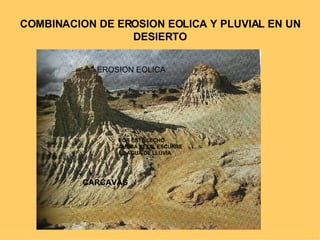 COMBINACION DE EROSION EOLICA Y PLUVIAL EN UN DESIERTO CARCAVAS POR ESTE LECHO AHORA SECO, ESCURRE EL AGUA DE LLUVIA EROSION EOLICA 