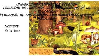 UNIVERSIDAD CENTRAL DE ECUADOR
FACULTAD DE FILOSOFÍA, LETRAS Y CIENCIAS DE LA
EDUCACIÓN
PEDAGOGÍA DE LAS CIENCIAS EXPERIMENTALES QUÍMICA
Y BIOLOGÍA
NOMBRE:
Sofía Díaz
 