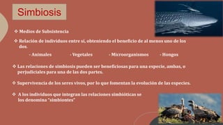 Simbiosis
 Relación de individuos entre sí, obteniendo el beneficio de al menos uno de los
dos.
- Animales - Vegetales - Microorganismos - Hongos
 Las relaciones de simbiosis pueden ser beneficiosas para una especie, ambas, o
perjudiciales para una de las dos partes.
 Medios de Subsistencia
 Supervivencia de los seres vivos, por lo que fomentan la evolución de las especies.
 A los individuos que integran las relaciones simbióticas se
los denomina “simbiontes”
 