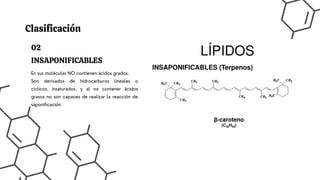 En sus moléculas NO contienen ácidos grados.
Son derivados de hidrocarburos lineales o
ciclicos, insaturados, y al no contener ácidos
grasos no son capaces de realizar la reacción de
saponificación.
02
INSAPONIFICABLES
Clasificación
 