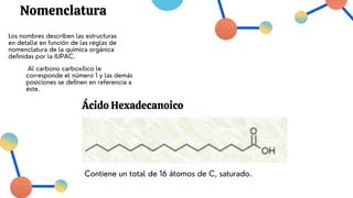 Nomenclatura
Los nombres describen las estructuras
en detalle en función de las reglas de
nomenclatura de la química orgánica
definidas por la IUPAC.
Al carbono carboxílico le
corresponde el número 1 y las demás
posiciones se definen en referencia a
éste.
Ácido Hexadecanoico
Contiene un total de 16 átomos de C, saturado.
 