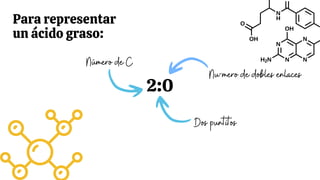 2:0
Para representar
un ácido graso:
Número de C
Dos puntitos
Nu´mero de dobles enlaces
 