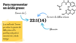 22:1(14)
Para representar
un ácido graso:
Número de C
Ubicación
Nu´mero de dobles enlaces
Si es insaturado: Tenemos
que indicar la posición del
doble enlace entre
paréntesis indicando el
número(s) de C donde
empieza
 