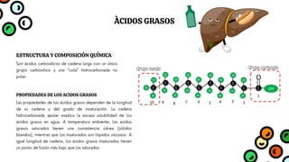 ESTRUCTURA Y COMPOSICIÓN QUÍMICA
Son ácidos carboxílicos de cadena larga con un único
grupo carboxilico y una “cola” hidrocarbonada no
polar.
PROPIEDADES DE LOS ACIDOS GRASOS
Las propiedades de los ácidos grasos dependen de la longitud
de su cadena y del grado de insaturación. La cadena
hidrocarbonada apolar explica la escasa solubilidad de los
ácidos grasos en agua. A temperatura ambiente, los acidos
grasos saturados tienen una consistencia cérea (sólidos
blandos), mientras que los insaturados son líquidos viscosos. A
igual longitud de cadena, los ácidos grasos insaturados tienen
un punto de fusión más bajo que los saturados
ÀCIDOS GRASOS
 