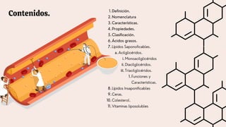 Contenidos. Definición.
1.
Nomenclatura
2.
Características.
3.
Propiedades.
4.
Clasificación.
5.
Ácidos grasos.
6.
Lípidos Saponoficables.
7.
Acilglicéridos.
a.
Monoacilglicéridos
i.
Diacilglicéridos.
ii.
Triacilglicéridos.
iii.
Funciones y
Caracteristicas.
1.
Lípidos Insaponificables
8.
Ceras.
9.
Colesterol.
10.
Vitaminas liposolubles
11.
 