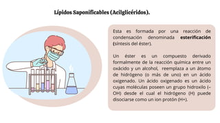 Esta es formada por una reacción de
condensación denominada esterificación
(síntesis del éster).
Un éster es un compuesto derivado
formalmente de la reacción química entre un
oxácido y un alcohol, reemplaza a un átomo
de hidrógeno (o más de uno) en un ácido
oxigenado. Un ácido oxigenado es un ácido
cuyas moléculas poseen un grupo hidroxilo (–
OH) desde el cual el hidrógeno (H) puede
disociarse como un ion protón (H+).
Lípidos Saponificables (Acilglicéridos).
 