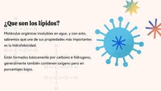 ¿Que son los lípidos?
Moléculas orgánicas insolubles en agua, y con esto,
sabremos que una de sus propiedades más importantes
es la hidrofobicidad.
Están formados básicamente por carbono e hidrogeno,
generalmente también contienen oxígeno pero en
porcentajes bajos.
 