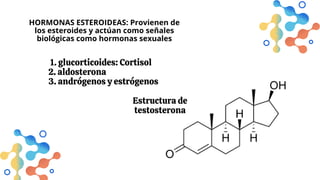 HORMONAS ESTEROIDEAS: Provienen de
los esteroides y actúan como señales
biológicas como hormonas sexuales
1. glucorticoides: Cortisol
2. aldosterona
3. andrógenos y estrógenos
Estructura de
testosterona
 