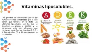 Vitaminas liposolubles.
No pueden ser sintetizadas por el ser
humano y otros vertebrados, por lo que
tienen que tomarse en la dieta. Las
vitaminas liposolubles son las que se
disuelven en grasas y aceites, y se
consumen junto con alimentos que
contienen grasa. Son las vitaminas A, D, E y
K. Dos de ellas (D y A) son precursores
hormonales.
 