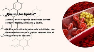 ¿Que son los lípidos?
Además, incluso algunas otras veces pueden
contener fósforo, nitrógeno y azufre.
Otra característica de estos es la solubilidad que
tienen en disolventes orgánicos como el éter, el
cloroformo y el benceno.
 