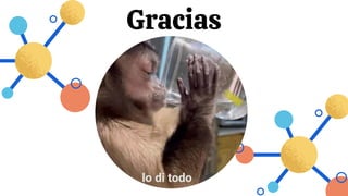 Gracias
 