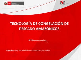 TECNOLOGÍA DE CONGELACIÓN DE
PESCADO AMAZÓNICOS
Expositor: Ing° Fermín Máximo Saavedra Cano, MPhil.
 