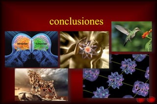 conclusiones
 