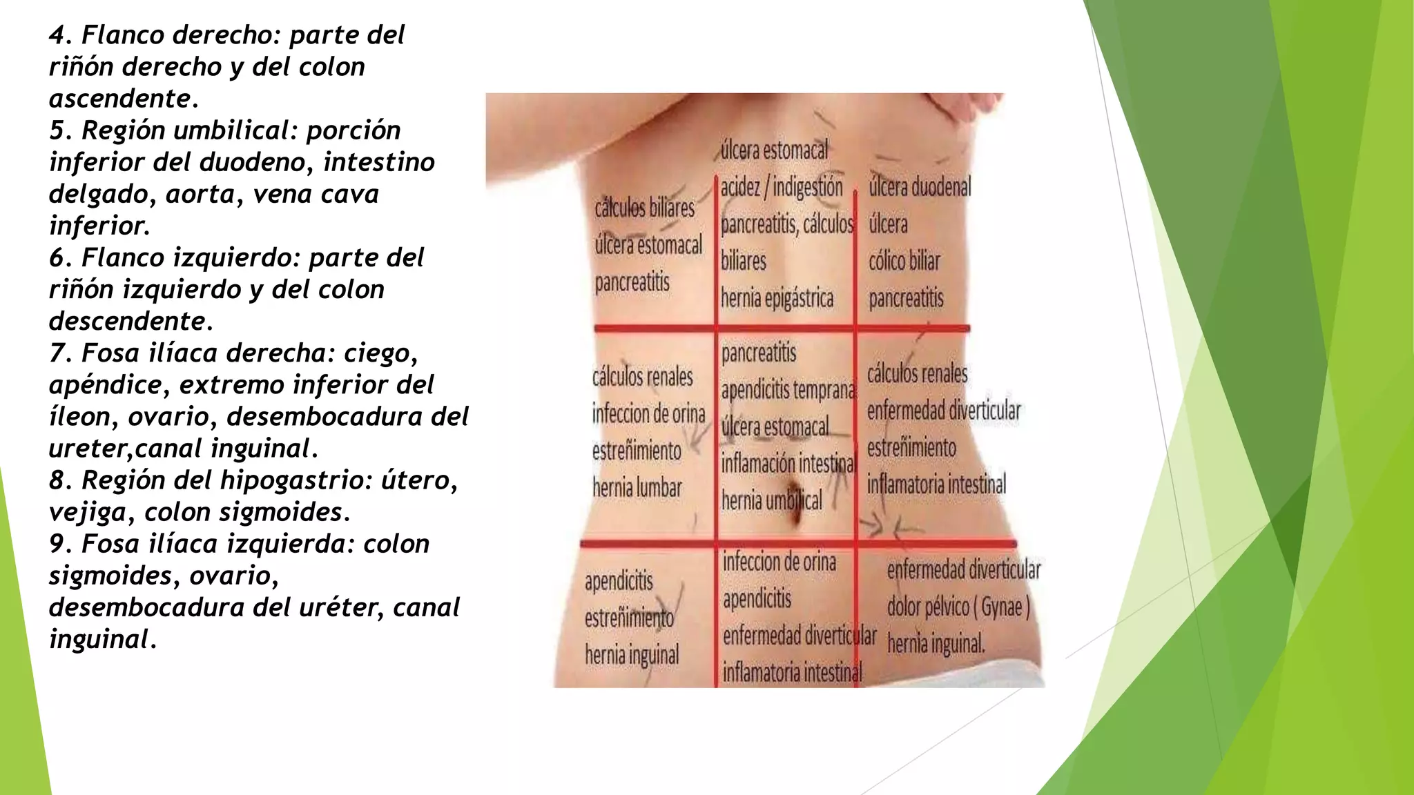 evaluación del abdomen | PPTX