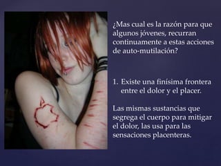 ¿Mas cual es la razón para que 
algunos jóvenes, recurran 
continuamente a estas acciones 
de auto-mutilación? 
1. Existe una finísima frontera 
entre el dolor y el placer. 
Las mismas sustancias que 
segrega el cuerpo para mitigar 
el dolor, las usa para las 
sensaciones placenteras. 
 