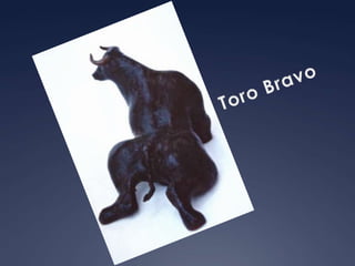 Toro Bravo