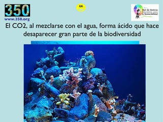 El CO2, al mezclarse con el agua, forma ácido que hace desaparecer gran parte de la biodiversidad 