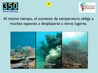 Al mismo tiempo, el aumento de temperatura obliga a muchas especies a desplazarse a otros lugares. 