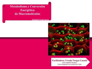 Metabolismo y Conversión
Energética
de Macromoléculas
Modulo#3 Enfermería

Facilitadora: Ursula Vargas Cusatti
Universidad de Panamá.
Centro Regional Universitario de Colón

 