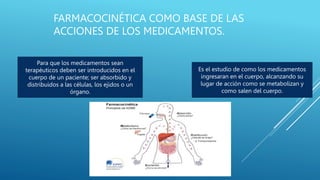 FARMACOCINÉTICA COMO BASE DE LAS
ACCIONES DE LOS MEDICAMENTOS.
Para que los medicamentos sean
terapéuticos deben ser introducidos en el
cuerpo de un paciente; ser absorbido y
distribuidos a las células, los ejidos o un
órgano.
Es el estudio de como los medicamentos
ingresaran en el cuerpo, alcanzando su
lugar de acción como se metabolizan y
como salen del cuerpo.
 