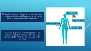 Metabolismo.-después de alcanzar su lugar de acción
el medicamento se metaboliza de una forma menos
activa o inactiva que es fácil de excretar.
Excrecion.-después de la metabolización de los
medicamentos salen del cuerpo a travez de los
riñones, hígado, intestinos, pulmones, glándulas
exocrinas
 