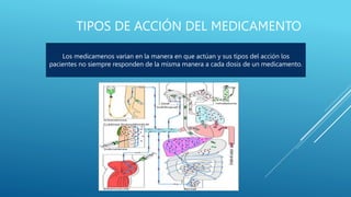 TIPOS DE ACCIÓN DEL MEDICAMENTO
Los medicamenos varian en la manera en que actúan y sus tipos del acción los
pacientes no siempre responden de la misma manera a cada dosis de un medicamento.
 