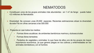 NEMATODOS 
 Constituyen unos de los grupos animales más abundantes : en 1 m2 de fango puede haber 
4,5 millones de Nematodos 
 Diversidad: Se conocen unas 25.000 especies. Recientes estimaciones sitúan la diversidad 
de este Filo en cifras cercanas a las 500.000 
 Presente en casi todos los medios: 
• Formas libres acuáticas: de ambientes bentónicos marinos y dulceacuícolas 
• Formas libres terrestres 
• Parásitos de vegetales y animales: lo que hace de ellos uno de los grupos de mayor 
importancia económica, ya que genera plagas en los cultivos y enfermedades en los 
animales domésticos y en el hombre 
 