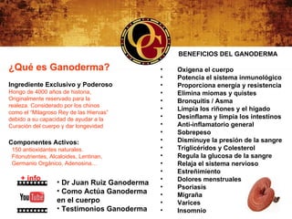BENEFICIOS DEL GANODERMA

¿Qué es Ganoderma?                            •   Oxigena el cuerpo
                                              •   Potencia el sistema inmunológico
Ingrediente Exclusivo y Poderoso              •   Proporciona energía y resistencia
Hongo de 4000 años de historia,               •   Elimina miomas y quistes
Originalmente reservado para la               •   Bronquitis / Asma
realeza. Considerado por los chinos
                                              •   Limpia los riñones y el hígado
como el “Milagroso Rey de las Hiervas”
debido a su capacidad de ayudar a la          •   Desinflama y limpia los intestinos
Curación del cuerpo y dar longevidad          •   Anti-inflamatorio general
                                              •   Sobrepeso
Componentes Activos:                          •   Disminuye la presión de la sangre
 150 antioxidantes naturales.                 •   Triglicéridos y Colesterol
 Fitonutrientes, Alcaloides, Lentinan,        •   Regula la glucosa de la sangre
 Germanio Orgánico, Adenosina…                •   Relaja el sistema nervioso
                                              •   Estreñimiento
    + info                                    •   Dolores menstruales
                   • Dr Juan Ruiz Ganoderma
                                              •   Psoriasis
                   • Como Actúa Ganoderma     •   Migraña
                   en el cuerpo               •   Varices
                   • Testimonios Ganoderma    •   Insomnio
 