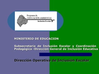 MINISTERIO DE EDUCACIÓN

Subsecretaria de Inclusión Escolar y Coordinación
Pedagógica -Dirección General de Inclusión Educativa



Dirección Operativa de Inclusión Escolar
 