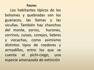 Fauna:
   Los habitantes típicos de los
bolsones y quebradas son los
guanacos, las llamas y las
vicuñas. También hay chanchos
del monte, zorros, hurones,
zorrinos, cuises, conejos, liebres
y vizcachas, como asimismo
distintos tipos de roedores y
armadillos, entre los que se
cuenta el pichi-ciego, una
especie amenazada de extinción
 