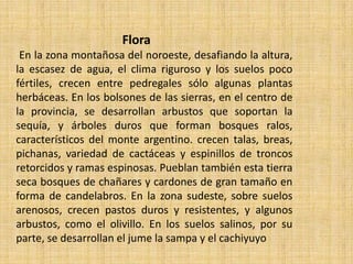 Flora
 En la zona montañosa del noroeste, desafiando la altura,
la escasez de agua, el clima riguroso y los suelos poco
fértiles, crecen entre pedregales sólo algunas plantas
herbáceas. En los bolsones de las sierras, en el centro de
la provincia, se desarrollan arbustos que soportan la
sequía, y árboles duros que forman bosques ralos,
característicos del monte argentino. crecen talas, breas,
pichanas, variedad de cactáceas y espinillos de troncos
retorcidos y ramas espinosas. Pueblan también esta tierra
seca bosques de chañares y cardones de gran tamaño en
forma de candelabros. En la zona sudeste, sobre suelos
arenosos, crecen pastos duros y resistentes, y algunos
arbustos, como el olivillo. En los suelos salinos, por su
parte, se desarrollan el jume la sampa y el cachiyuyo
 
