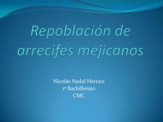 Nicolás Nadal Herraiz
1º Bachillerato
CMC

 