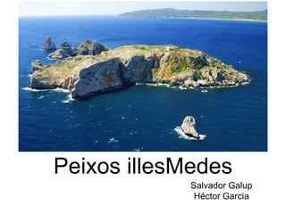 Peixos illesMedes 
Salvador Galup 
Héctor Garcia 
 