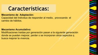 Caracteristicas:
Mecanismo de Adaptación:
Capacidad del Individuo de responder al medio, provocando el
cambio de hábitos.
Mecanismo Acumulativo:
Modificaciones traidas por generación pasan a la siguiente generación
donde se pueden mejorar, perder o se incorporan otros aspectos q
busca mejorar la vivencia.
 
