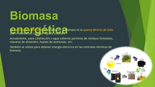 Biomasa
energéticaLa forma más tradicional de empleo de la biomasa es la quema directa de leña
(para calentarse, calentar agua y cocinar).
Actualmente, para calefacción o agua caliente partimos de residuos forestales,
cáscaras de almendra, huesos de aceitunas, etc.
También se utiliza para obtener energía eléctrica en las centrales térmicas de
biomasa.
 