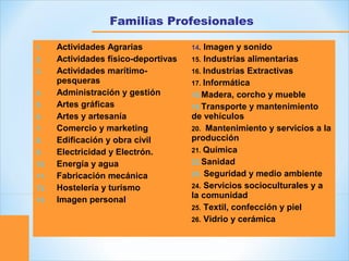 .
Familias Profesionales
1. Actividades Agrarias
2. Actividades físico-deportivas
3. Actividades marítimo-
pesqueras
4. Administración y gestión
5. Artes gráficas
6. Artes y artesanía
7. Comercio y marketing
8. Edificación y obra civil
9. Electricidad y Electrón.
10. Energía y agua
11. Fabricación mecánica
12. Hostelería y turismo
13. Imagen personal
14. Imagen y sonido
15. Industrias alimentarias
16. Industrias Extractivas
17. Informática
18.Madera, corcho y mueble
19.Transporte y mantenimiento
de vehículos
20. Mantenimiento y servicios a la
producción
21. Química
22.Sanidad
23. Seguridad y medio ambiente
24. Servicios socioculturales y a
la comunidad
25. Textil, confección y piel
26. Vidrio y cerámica
 