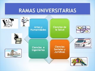 RAMAS UNIVERSITARIASRAMAS UNIVERSITARIAS
 
