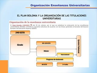 Organización Enseñanzas Universitarias
EL PLAN BOLONIA Y LA ORGANIZACIÓN DE LAS TITULACIONES
UNIVERSITARIAS
 