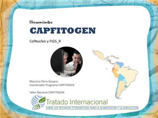 Herramientas
CAPFITOGEN
ColNucleo y FIGS_R
Mauricio Parra Quijano
Coordinador Programa CAPFITOGEN
Taller Nacional CAPFITOGEN
 