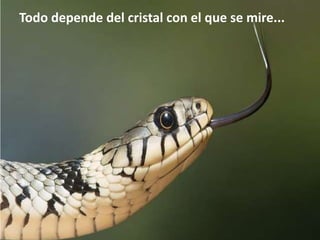 Todo depende del cristal con el que se mire...
 