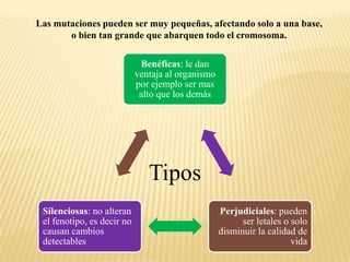 Las mutaciones pueden ser muy pequeñas, afectando solo a una base, o bien tan grande que abarquen todo el cromosoma.Tipos