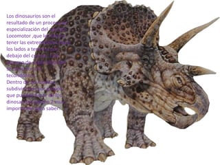Los dinosaurios son el
resultado de un proceso de
especialización del aparato
Locomotor ,que les llevo a
tener las extremidades hacia
los lados a tenerlas por
debajo del cuerpo .Este
proceso de especialización
se inicio con los
tecondontes.
Dentro de las muchas
subdivisiones por grupos
que pueden hacer de los
dinosaurios existen 2 muy
importantes para saber:
 