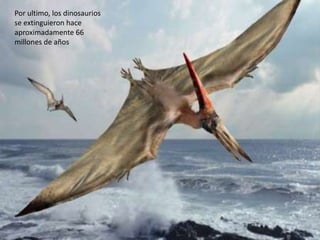 Por ultimo, los dinosaurios
se extinguieron hace
aproximadamente 66
millones de años
 