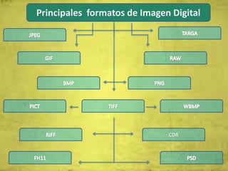Principales formatos de Imagen Digital
CDR
 