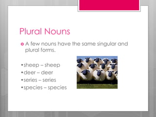 Plural Nouns
 A few nouns have the same singular and
plural forms.
•sheep – sheep
•deer – deer
•series – series
•species – species
 