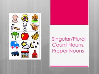 Singular/Plural
Count Nouns,
Proper Nouns
 