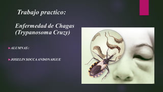 Trabajo practico:
Enfermedad de Chagas
(Trypanosoma Cruzy)
ALUMNAS :
JOSELIN SOCCAANDONAIGUE
 